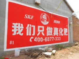 西林刷墙广告”蕴含了时代命题