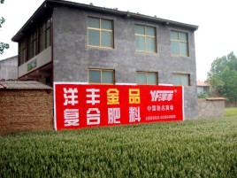 西林如何让墙体广告展现最大化效果