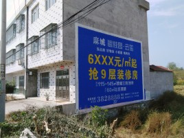 西林墙体广告质量分析