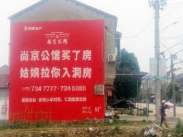 西林墙体广告在乡镇、农村市场的媒体优势