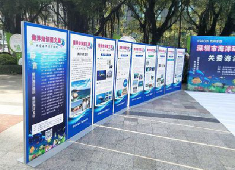 西林KT板的种类和知识。